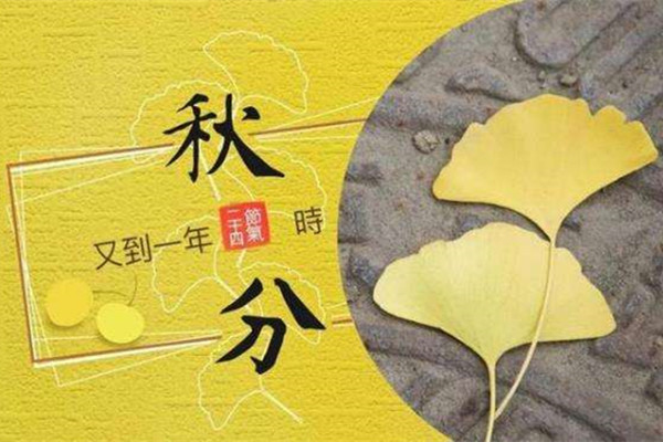 秋分時節(jié)｜粉末噴塑設備廠家想分一半秋色給你！